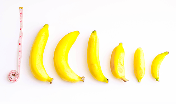Le corps masculin : pénis et bananes de toutes les tailles et formes