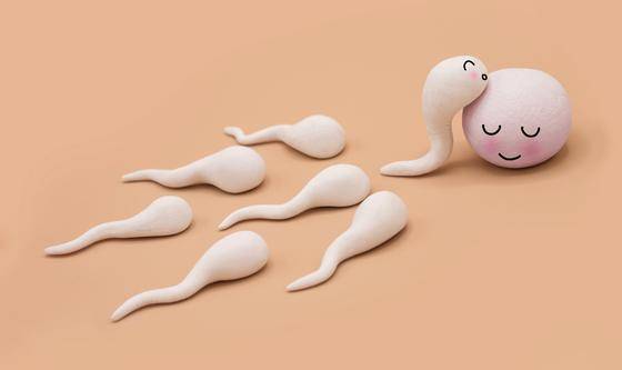 illustration de spermatozoïdes allant vers une ovule