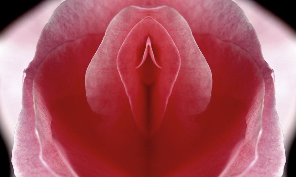 Connaissez-vous vraiment la taille et la forme du clitoris ?